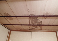 雨漏りの天井のシミ