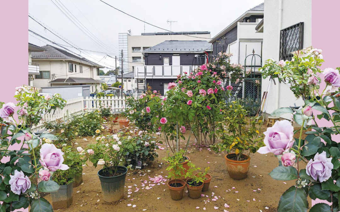 減築で造園しました